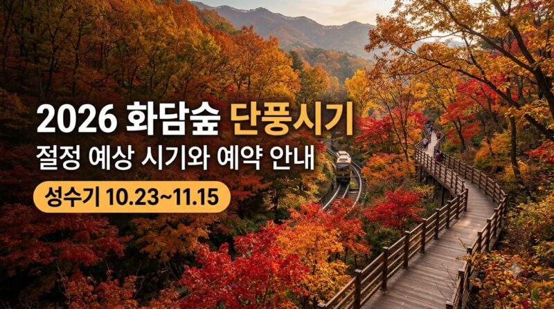 2026년 화담숲 단풍 시기와 성수기 예약 정보 정리